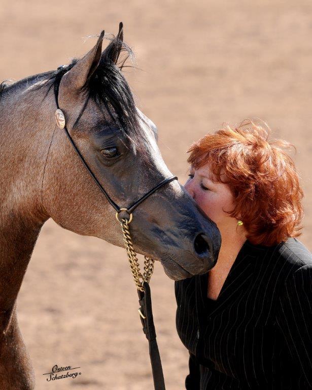 Scottsdale Arabian Horse Show News for Sunday, February 15, 2015