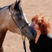 Scottsdale Arabian Horse Show News for Sunday, February 15, 2015