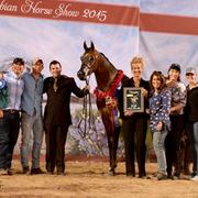 Scottsdale Arabian Horse Show News for Sunday, February 15, 2015