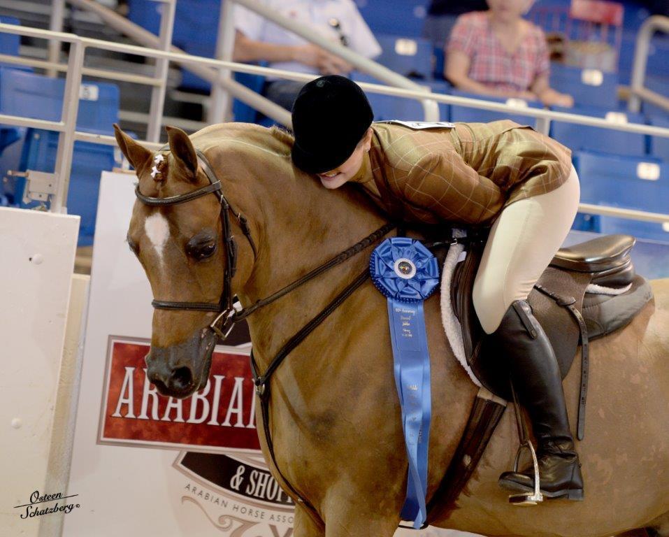 Scottsdale Arabian Horse Show News for Monday, February 16, 2015