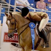 Scottsdale Arabian Horse Show News for Monday, February 16, 2015