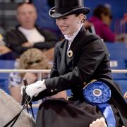 Scottsdale Arabian Horse Show News for Monday, February 16, 2015