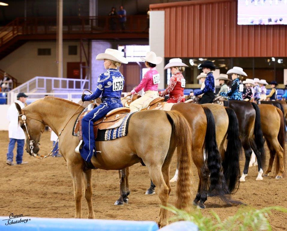 Scottsdale Arabian Horse Show News for Monday, February 16, 2015