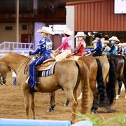 Scottsdale Arabian Horse Show News for Monday, February 16, 2015