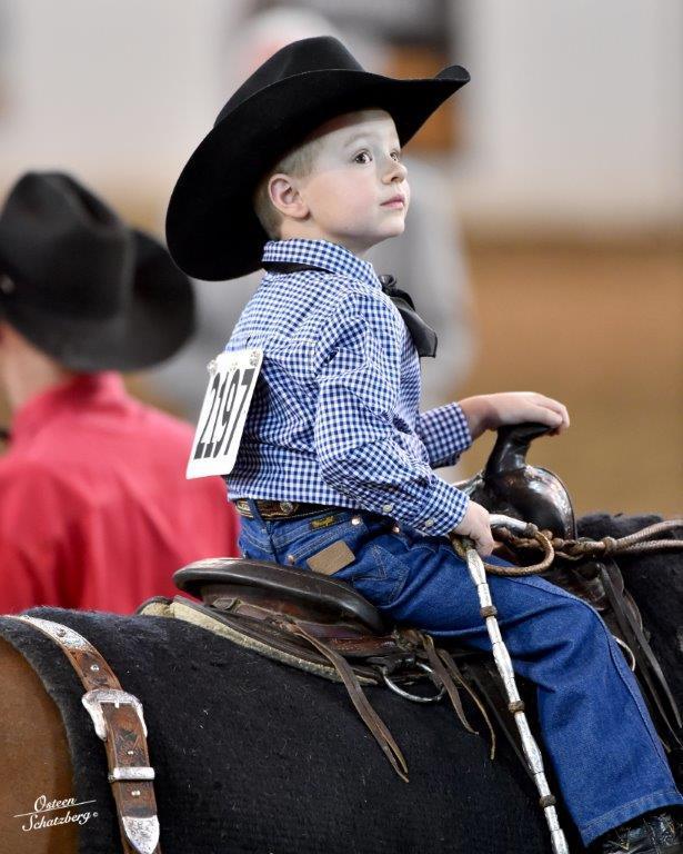 Scottsdale Arabian Horse Show News for Monday, February 16, 2015