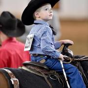 Scottsdale Arabian Horse Show News for Monday, February 16, 2015