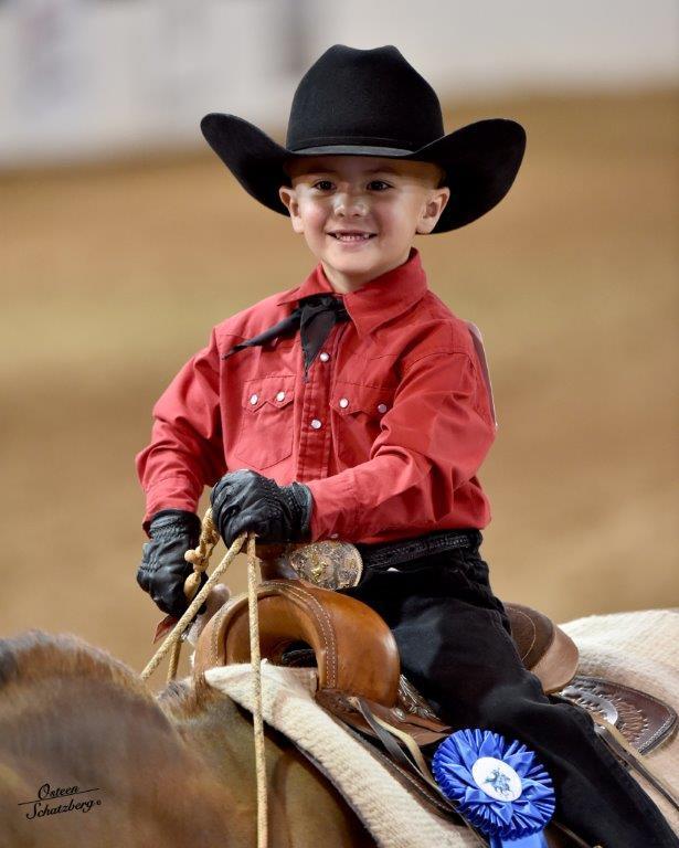 Scottsdale Arabian Horse Show News for Monday, February 16, 2015