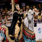 Scottsdale Arabian Horse Show News for Monday, February 16, 2015