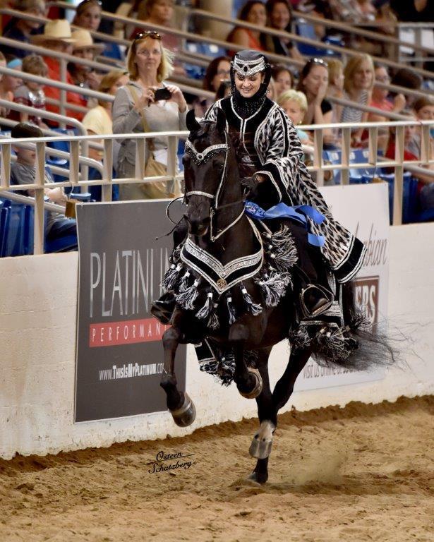 Scottsdale Arabian Horse Show News for Monday, February 16, 2015
