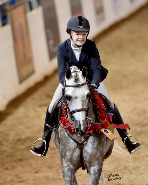 Scottsdale Arabian Horse Show News for Monday, February 16, 2015