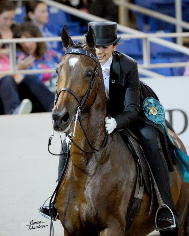 Scottsdale Arabian Horse Show News for Monday, February 16, 2015