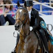 Scottsdale Arabian Horse Show News for Monday, February 16, 2015