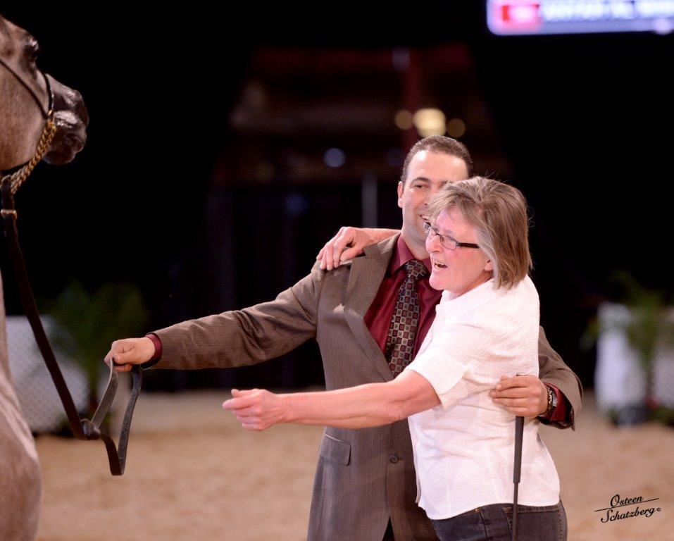 Scottsdale Arabian Horse Show News for Monday, February 16, 2015