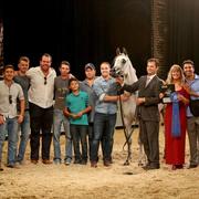 Scottsdale Arabian Horse Show News for Monday, February 16, 2015