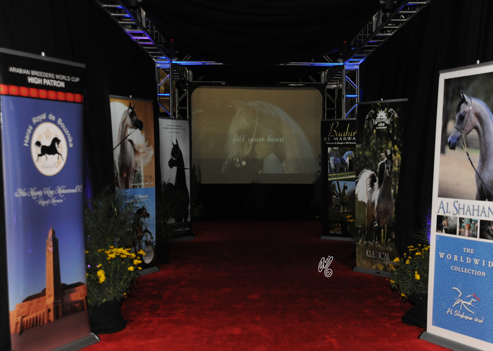 A Grand Entrance into the show!