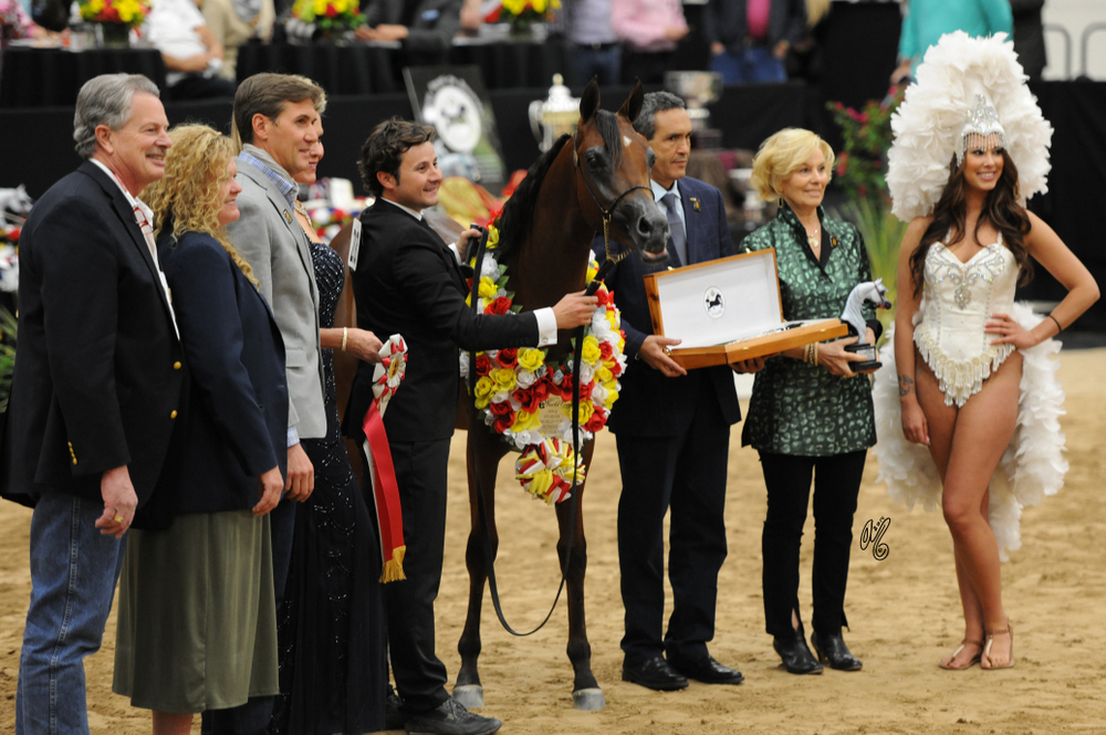 2015 Arabian Breeders World Cup - Preview