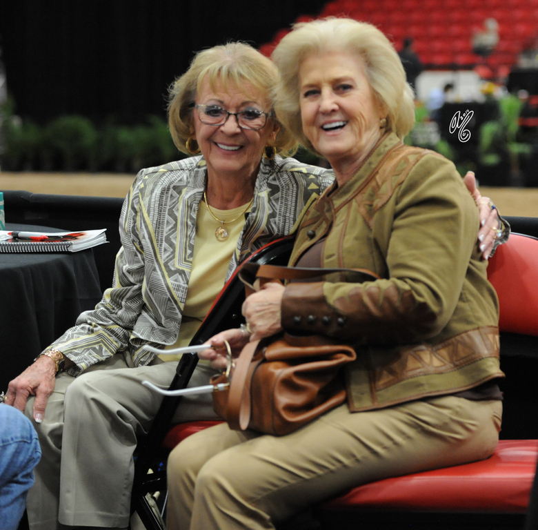 2015 Arabian Breeders World Cup - Preview