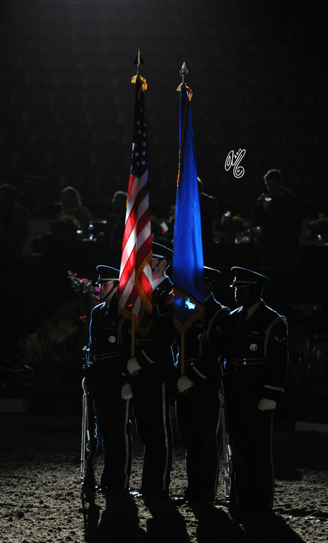 2015 Arabian Breeders World Cup - Preview