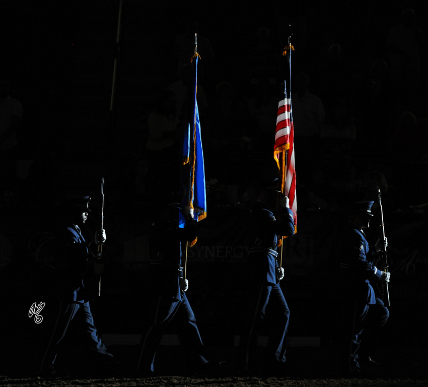 2015 Arabian Breeders World Cup - Preview