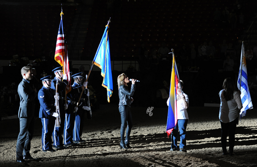 2015 Arabian Breeders World Cup - Preview