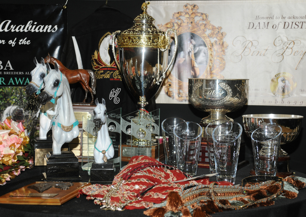 2015 Arabian Breeders World Cup - Preview