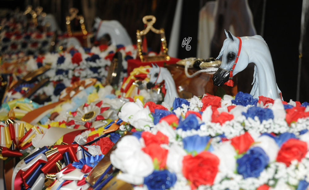 2015 Arabian Breeders World Cup - Preview