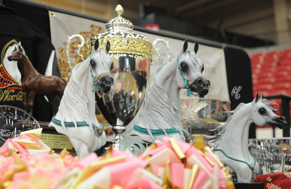 2015 Arabian Breeders World Cup - Preview