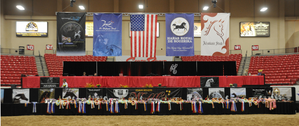 2015 Arabian Breeders World Cup - Preview