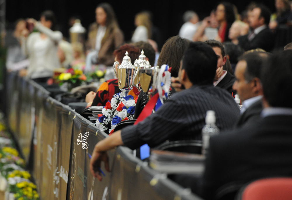 2015 Arabian Breeders World Cup - Preview