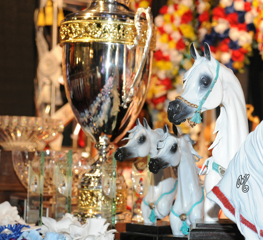 2015 Arabian Breeders World Cup - Preview