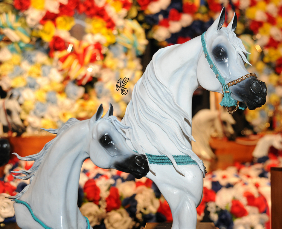 2015 Arabian Breeders World Cup - Preview