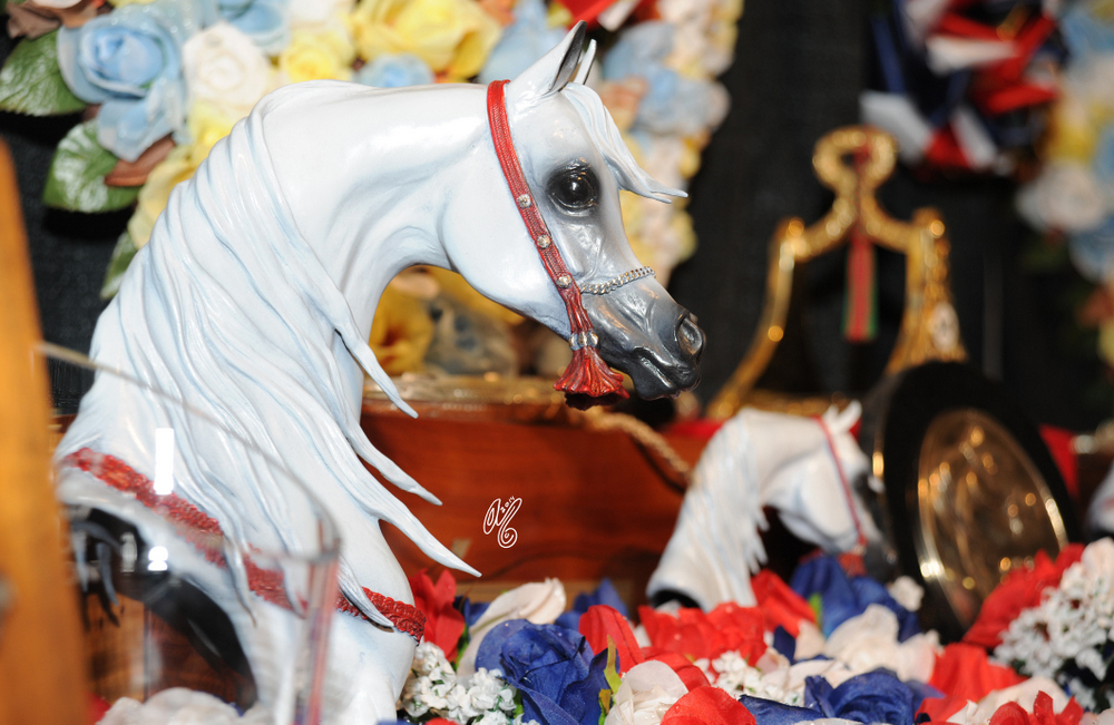 2015 Arabian Breeders World Cup - Preview