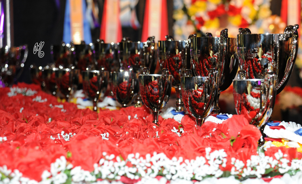 2015 Arabian Breeders World Cup - Preview