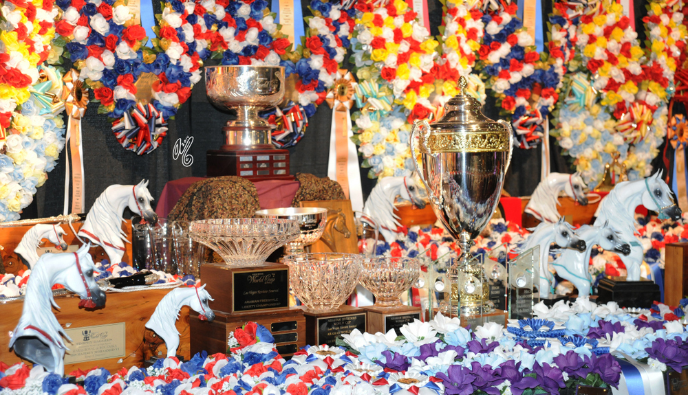 2015 Arabian Breeders World Cup - Preview