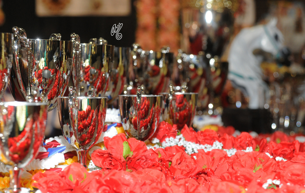 2015 Arabian Breeders World Cup - Preview