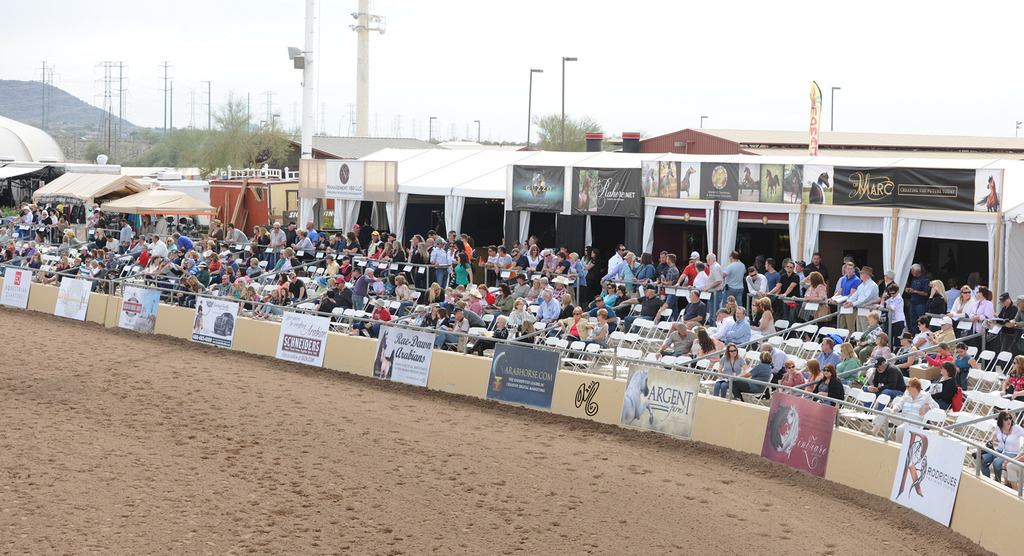 Lisa Abraham: 2015 Scottsdale Arabian Show Photo Gallery
