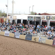 Lisa Abraham: 2015 Scottsdale Arabian Show Photo Gallery