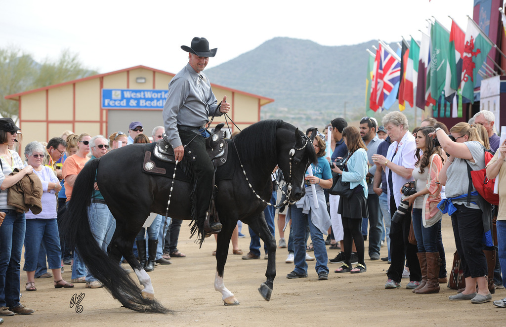 The Argent Farms' Barn Party