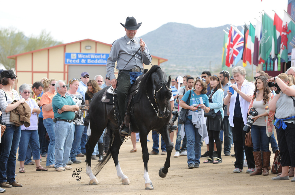The Argent Farms' Barn Party
