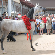 Keith Krichke's Barn Party