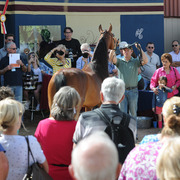 Reserve Champion Stallion Truest being presented at Greg Gallun's Barn Party