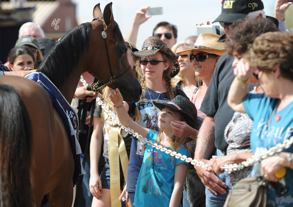 The Rohara Barn Party