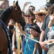 The Rohara Barn Party