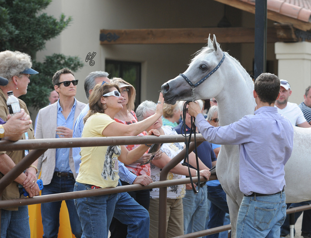 Sabeh Al Saliyah being presented at Michael Byatt's