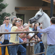 Sabeh Al Saliyah being presented at Michael Byatt's