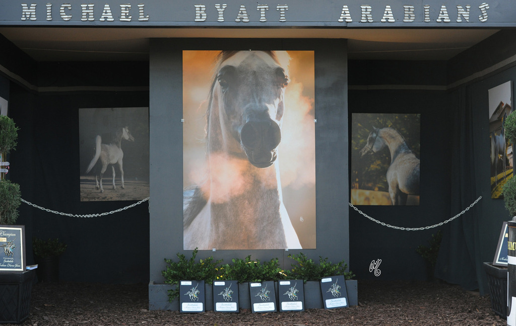 Gorgeous and elaborate stall fronts!
