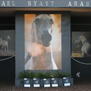 Gorgeous and elaborate stall fronts!
