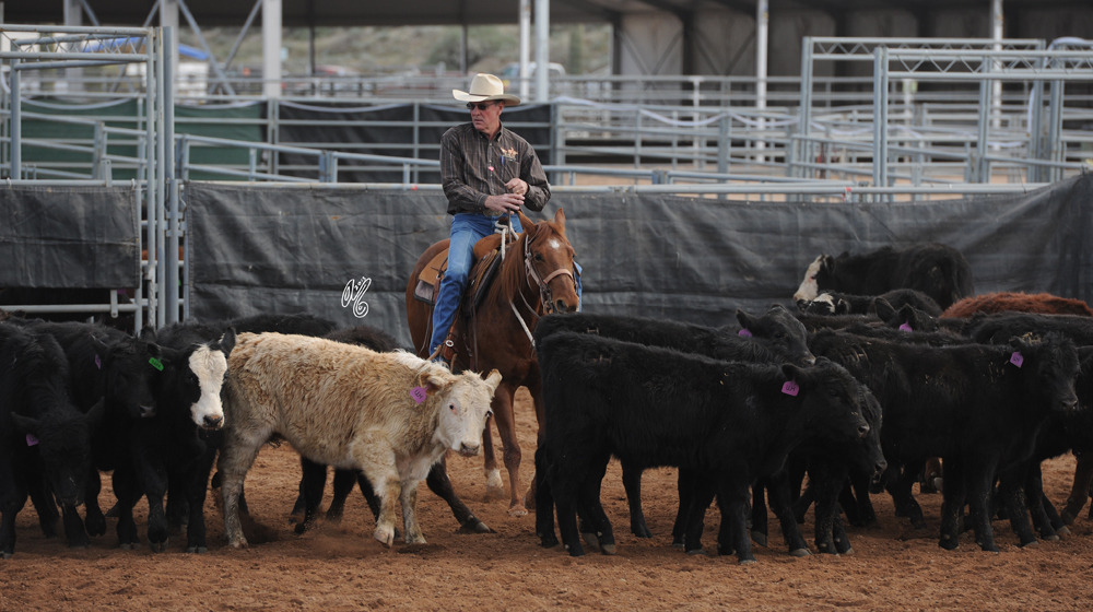 Yee--haw....its Cutting!!
