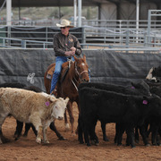 Yee--haw....its Cutting!!
