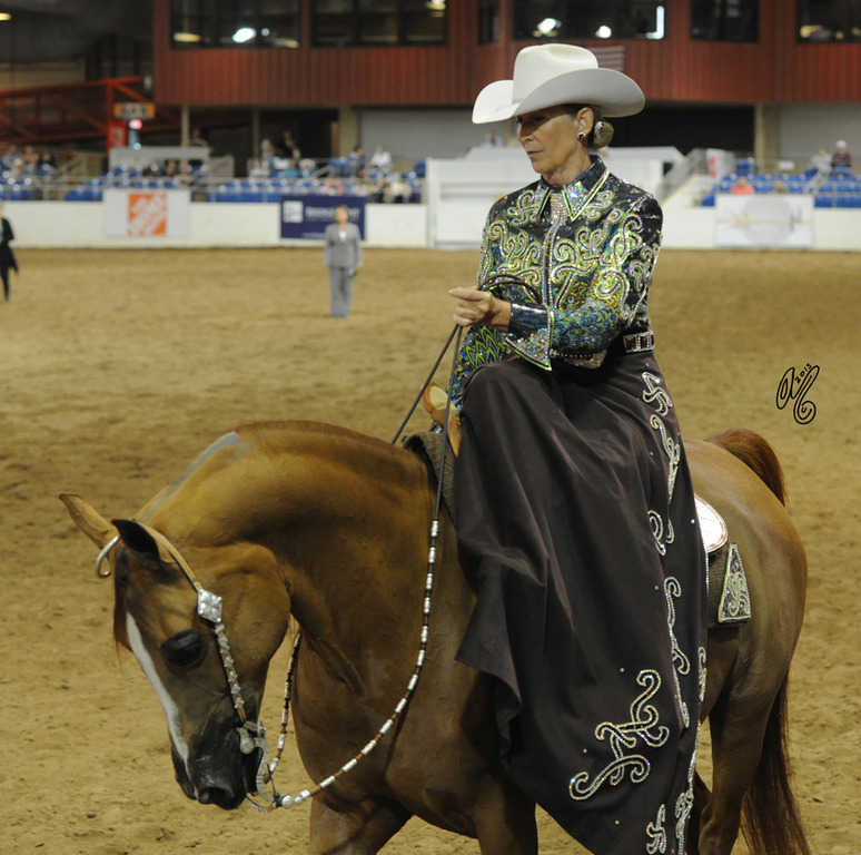 Western Side Saddle